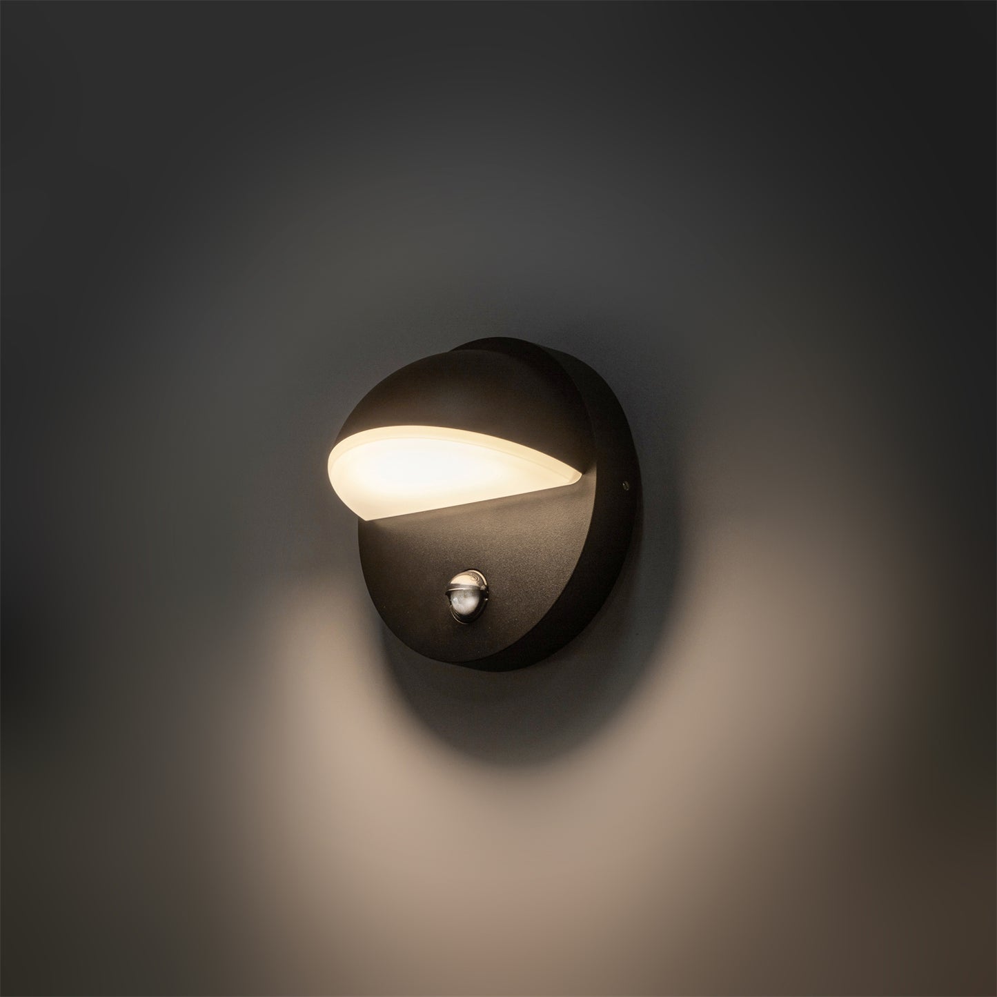 Flornia light new arrivals